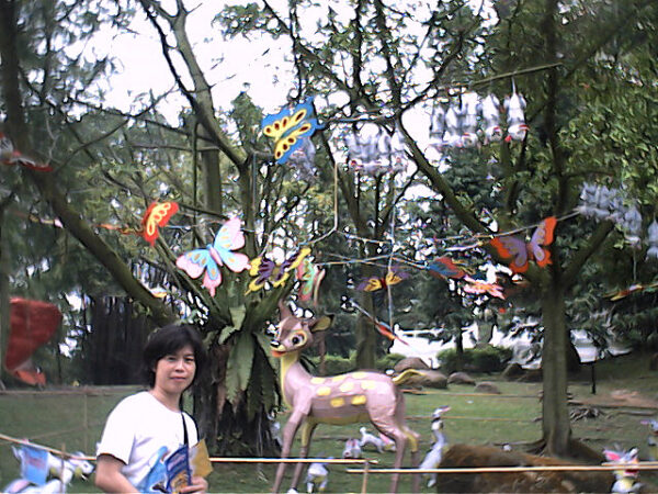 2002 Lantern Festival