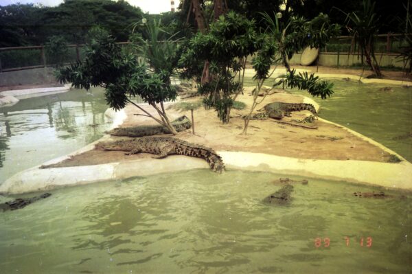 1989 Visit to Bird Park with Derric and Eric