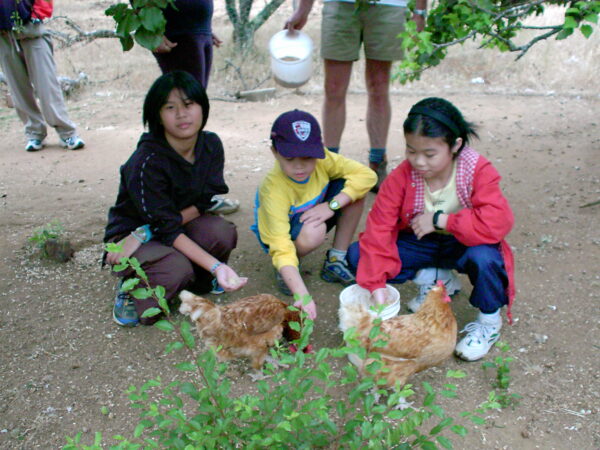 2000 Chan Family Holiday at Perth