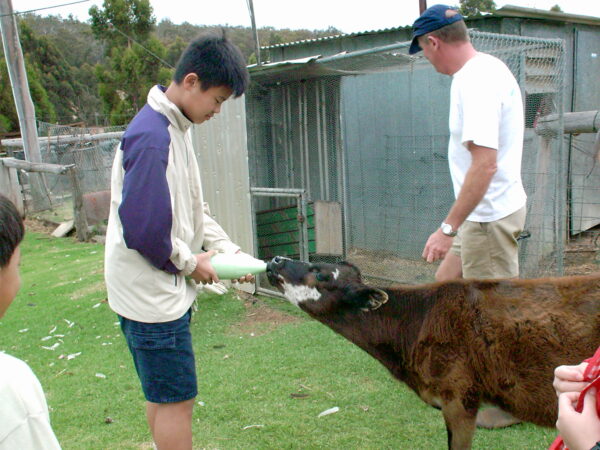 2000 Chan Family Holiday at Perth