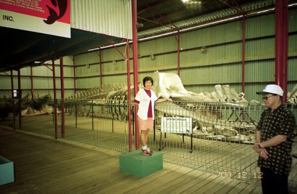 2000 Holiday at Perth Australia