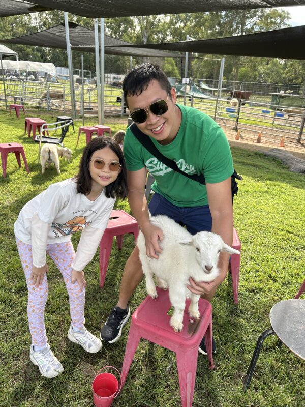 At Nique Hobby Farm Haigslea - Hands-on with farm animals